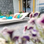 Zeza's Garden