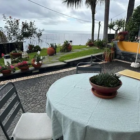 Zeza's Garden *