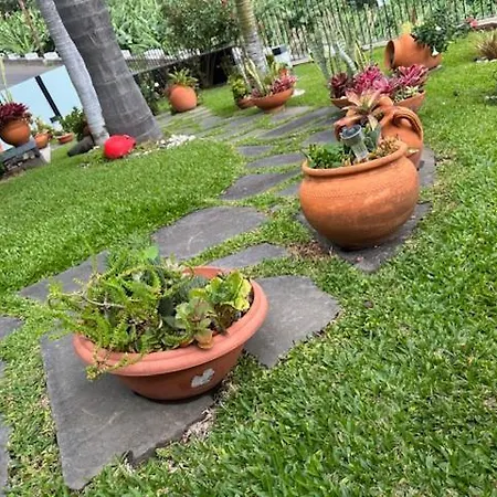 Zeza's Garden