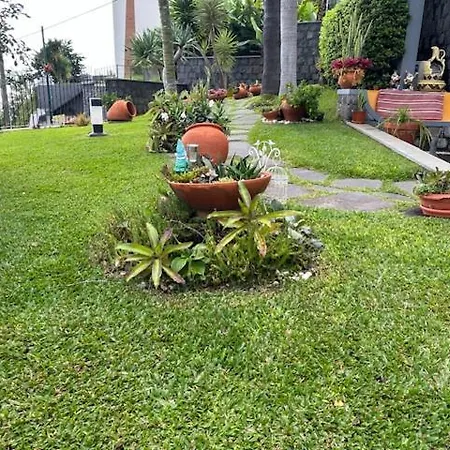 Zeza's Garden *