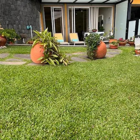 Zeza's Garden