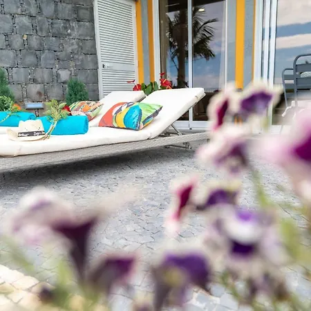 Zeza's Garden