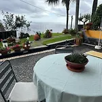 Zeza's Garden *