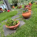 Zeza's Garden