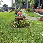 Zeza's Garden *