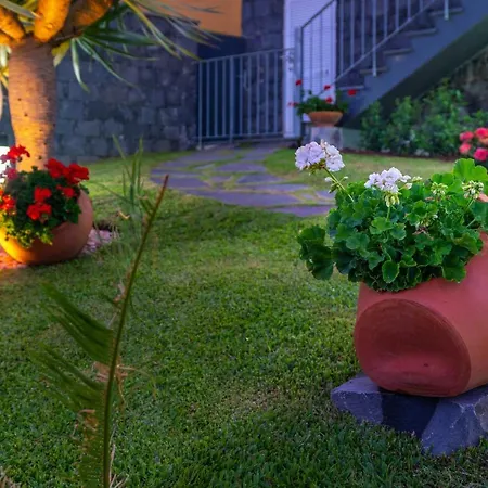 Zeza´s Garden Ferienhaus