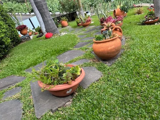 Zeza's Garden